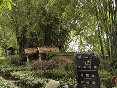 -天赐温泉