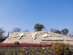 -牛首山文化旅游区