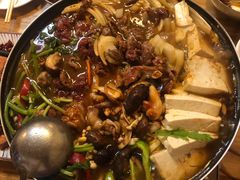 八爪鱼牛肉锅-东吉馆韩式餐厅(八经街总店)