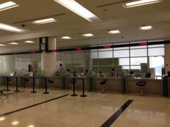 SS-上海市公安局出入境管理总队