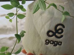 -gaga(深圳京基KKMALL店)