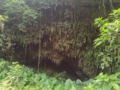 -海口火山口国家地质公园
