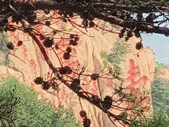 -崂山仰口游览区