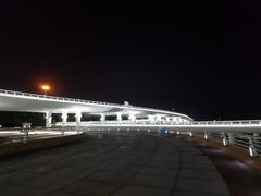 -演武大桥观景平台