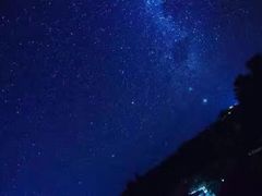 -巴厘岛黄金金兔咖啡工厂