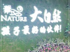 -大自然花鸟鱼虫市场