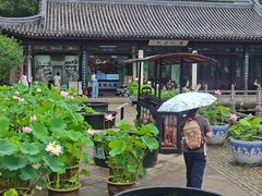 -无锡蠡湖国家湿地公园-蠡园