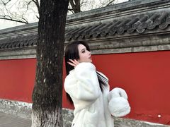-北京国子监胡同