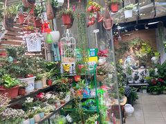 -武汉花鸟市场