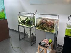 -ADA自然水景世界