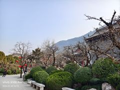 -华清宫景区
