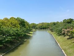 -上海海湾国家森林公园