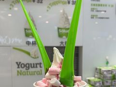 -Salud撒露欧洲冻酸奶(蓝色港湾店)