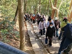 -灵顺寺