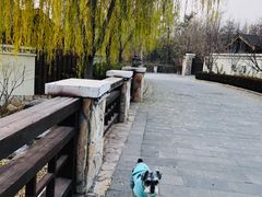 -静之湖湖畔餐厅