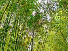 -竹泉村旅游度假区