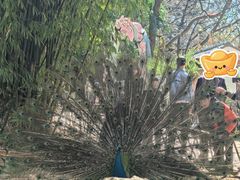 -昆明动物园