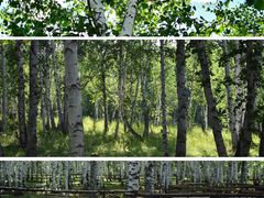 -呼和诺尔旅游景区