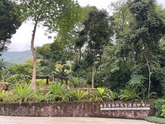 -深圳仙湖植物园