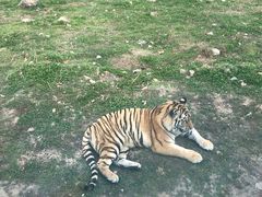 -西安秦岭野生动物园