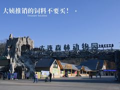 -大连森林动物园