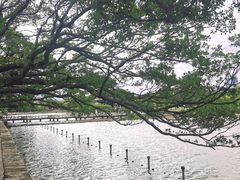 -江心屿景区