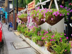 -清迈菩提塞雷纳