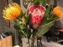 -卡朋厨房(289艺术园区店)