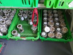 -来噻布布 Lets BUBU
