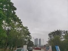 -大亚湾红树林城市湿地公园