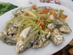 -老三鱼仔店