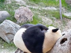 -宁波野生动物园