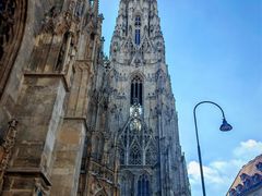 -斯蒂芬主教座堂(Stephansdom)