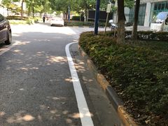 -南京东山外国语学校分校江宁区岔路学校