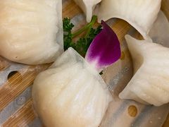 招牌虾饺皇-江南村酒家
