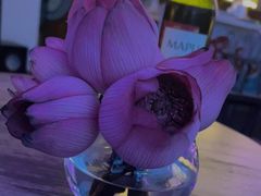 -五号茶居·新派粤菜·岭南五号酒店(沿江中路店)
