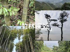 -莫干山风景区