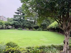 -嘉定紫藤园