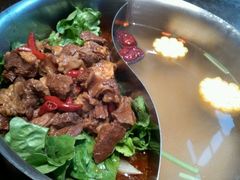 -手选潮汕鲜活牛肉火锅(二七广场店)