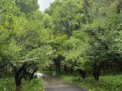 -潮府馆·非遗潮州菜·世纪公园(新国际博览中心店)