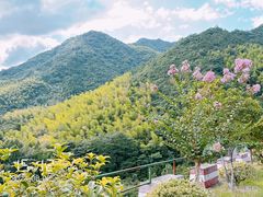 -东天目山风景区