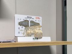 -半岛宠物医院24小时(科华中路店)