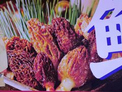 -木王宴语·野生鲜菌火锅(玉河店)