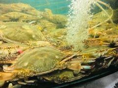 门面-富港会·海鲜酒楼(墟沟店)