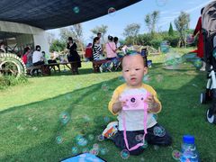 -武汉紫薇都市田园