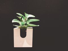 -Home Cafe(水榭春天店)