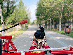 -永定河休闲森林公园