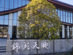 -东平国家森林公园