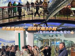 -郑州自然博物馆(惠济区)