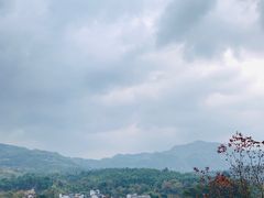 -塔川景区